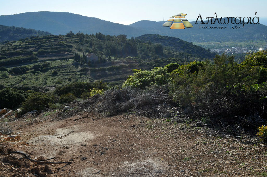 Η αντιπυρική ζώνη που ανοίχτηκε τον Αύγουστο. Στο βάθος ο Άγιος Αντώνης