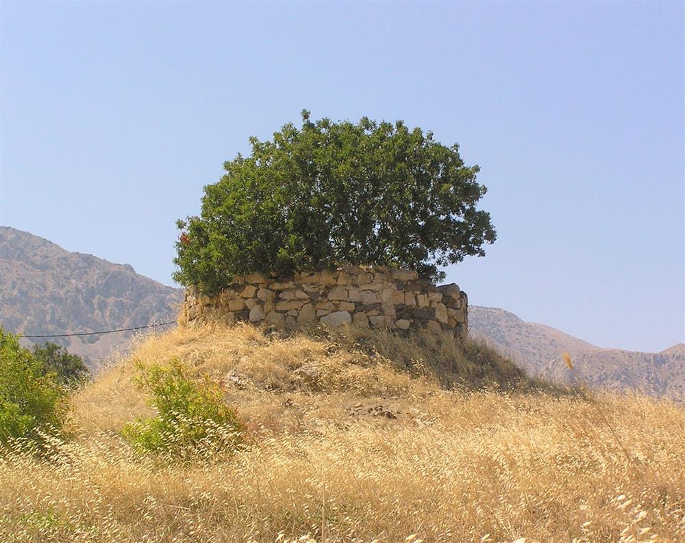 Ο ανεμόμυλος στον Άγιο Κήρυκο, στα 2013 (ΦΩΤ.: Σ. Τσιροπινά)