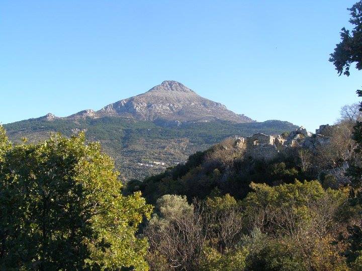 Καμπιά
