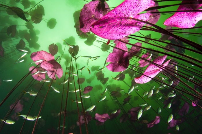 Glimpse of the underworld από την Christian Vizl
