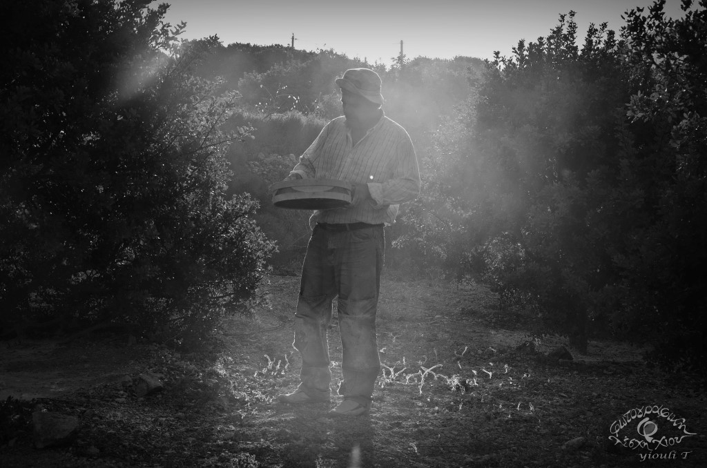 Φωτογραφία: Γιούλη Τελλή-Καμπά