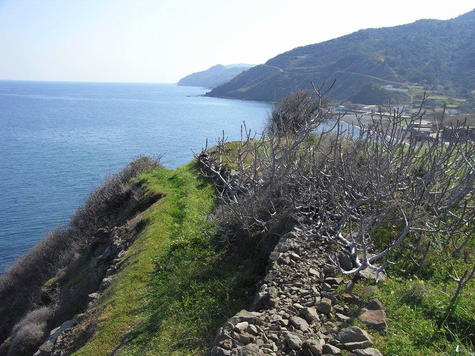Αγιάσματα