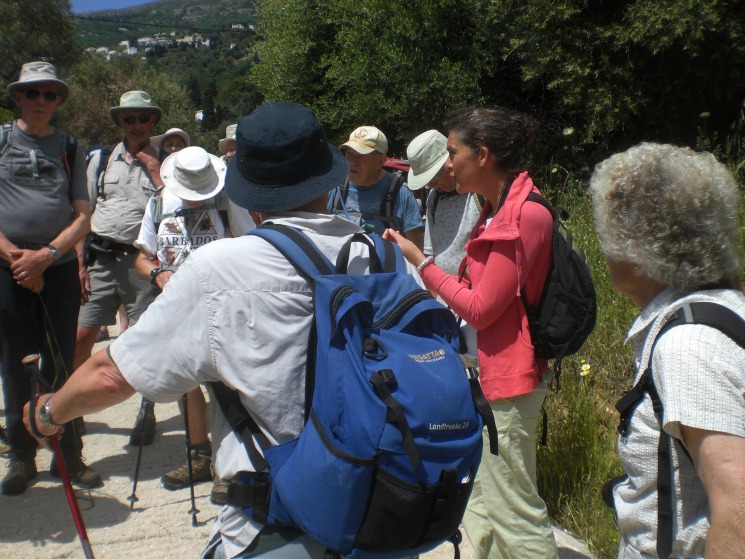 with_Ramblers
