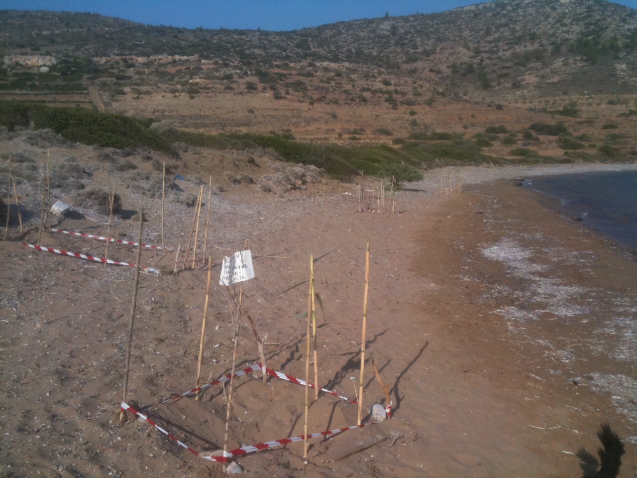 Φωλιές ωοτοκίας αυγών χελώνας καρέτα καρέτα στα Πραστιά