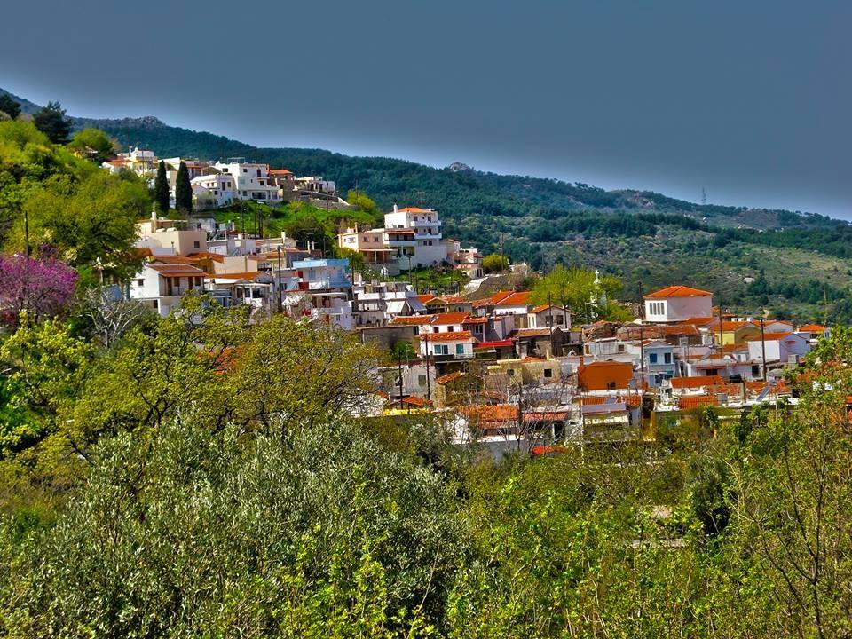 Αμάδες